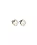 Flower Earrings with Mother of Pearl - Silver 925 Gold Plated