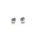 Pearls - 9ct White Gold