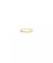 9ct Gold Ring - Gourmet Chain