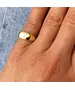 Flat plate ring - Silver 925 gold plated