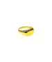 Flat plate ring - Silver 925 gold plated