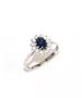 9ct White Gold Oval Blue Diana Ring