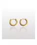 Hoops Earrings 2cm - Stainless Steel Gold Plated