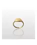 Plain Plate Ring - High quality Stainless Steel Gold Plated