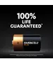 Duracell Alkaline D 2pcs Batteries Plus