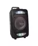 N-Gear FLASH610 6'' Portable Karaoke Speaker LED/BT/USB/Mic