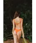 Kampel V Line High Leg Brazil Bikini Bottom In Grapefruit