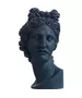 Sophia. Apollo Head Vase