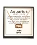 Aquarius - Necklace