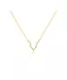 Aquarius Zircon Gold Necklace