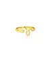 Capricorn - Ring