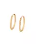 Grâve Hoops Earrings (A00876834)