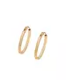 Grâve Hoops Earrings (A00876834)