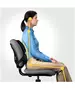 Fellowes PROFESSIONAL SERIES ULTIMATE BACK SUPPORT