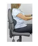 Fellowes SMART SUITES PORTABLE LUMBAR SUPPORT